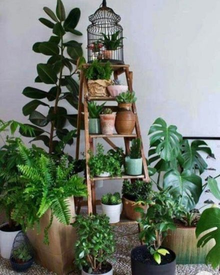 Trendy Diy Indoor Garden Decoration Ideas Best Super Car