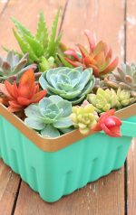 Most Beautiful Succulent Container Garden Diys With Tutorials