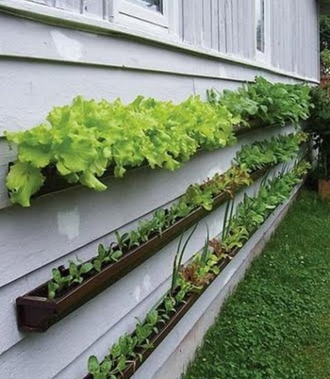 42 Urban Vertical Gardening Ideas For Small Spaces