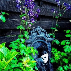 How To Create A Goth Garden Balcony Garden Web