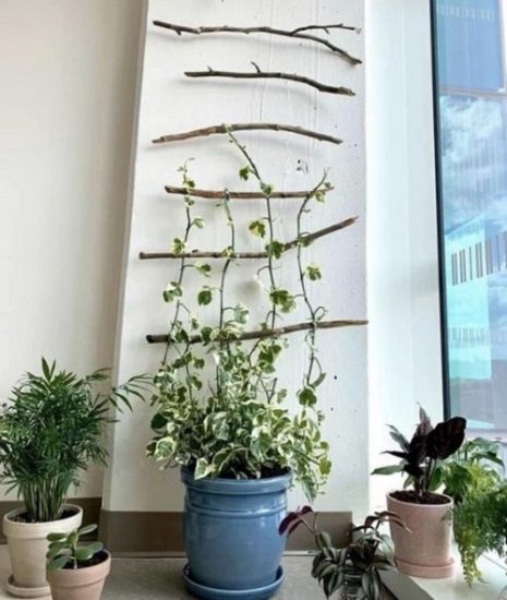 Fantastic Pothos Trellis Ideas You Can Easily Make