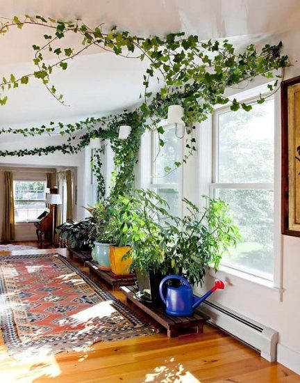 Hanging Indoor Vines As A Garland Ideas Balcony Garden Web