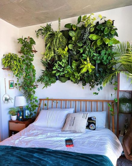 Fantastic Ways To Decorate With Indoor Plants To Energize Your Room