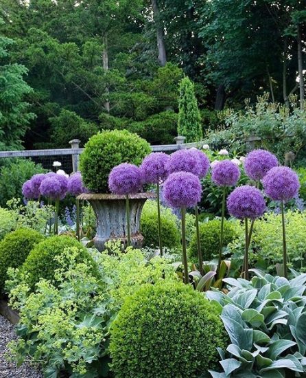 Beautiful Landscaping With Purple Plants Ideas