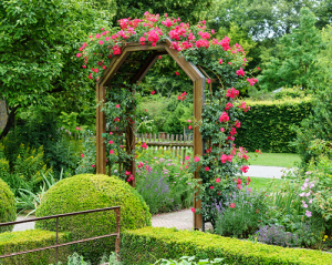 20 Super Cool Mandevilla Trellis Ideas Trellis For Mandevilla Plant