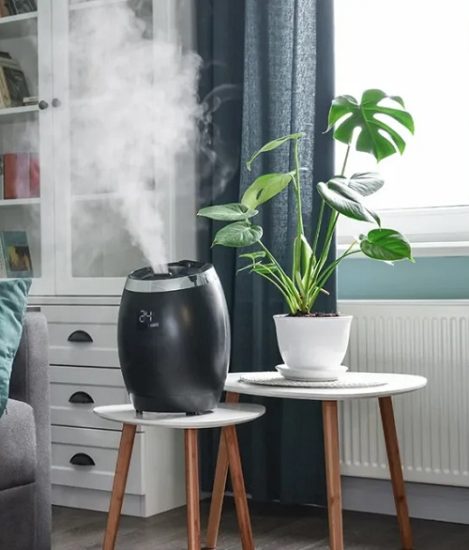 Expert Ways To Increase Humidity For Houseplants