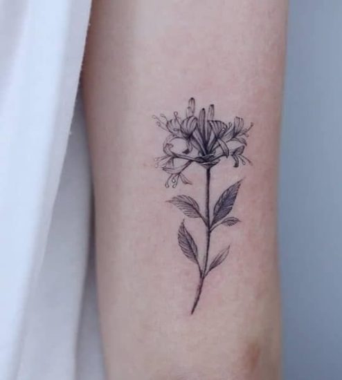 Honeysuckle Tattoo Meaning And Ideas