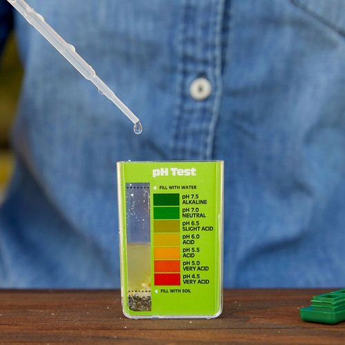 How to Check Your Soil pH at Home