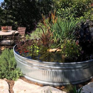 Pond In A Pot: How To Make A Container Water Garden 