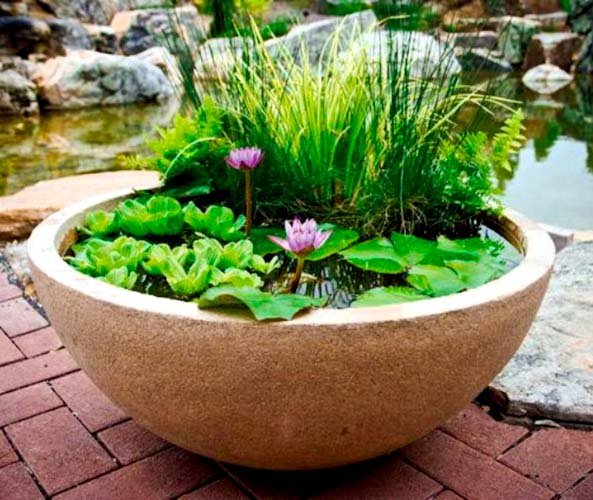 water garden mothers day gift