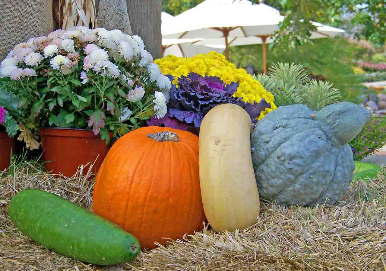 Types Of Gourd Vegetables