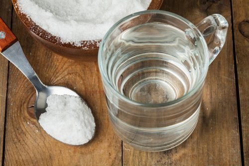 salt as Natural Pesticides for Garden
