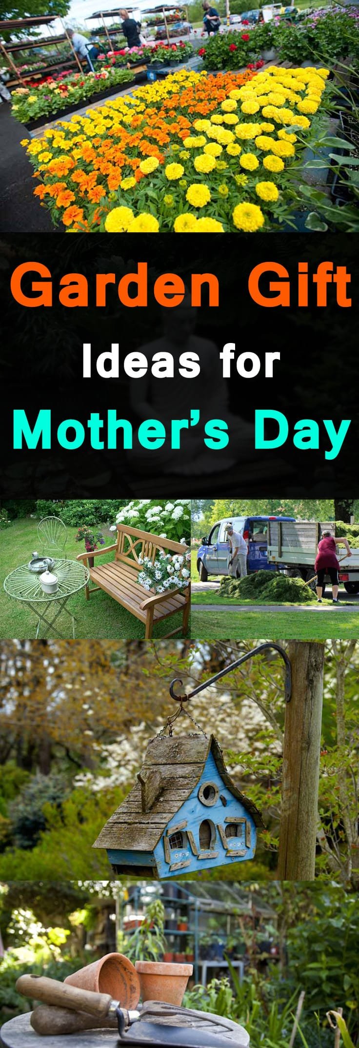 Mother’s day is an ideal time to show affection to your mother. If your mommy loves gardening, make this mother’s day special for her. Take inspiration from our mother's day gift ideas here.