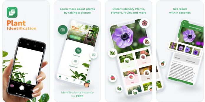 23 Best Plant Identification Apps for 2023 | Balcony Garden Web