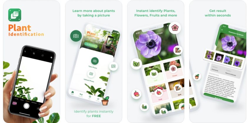 23 Best Plant Identification Apps For 2023 Balcony Garden Web   Leafsnapnew 842x420 