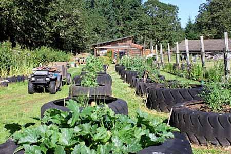 If you've got some spare tires, must try these DIY Tire Garden Ideas. These outdoor projects are easy to do as well.