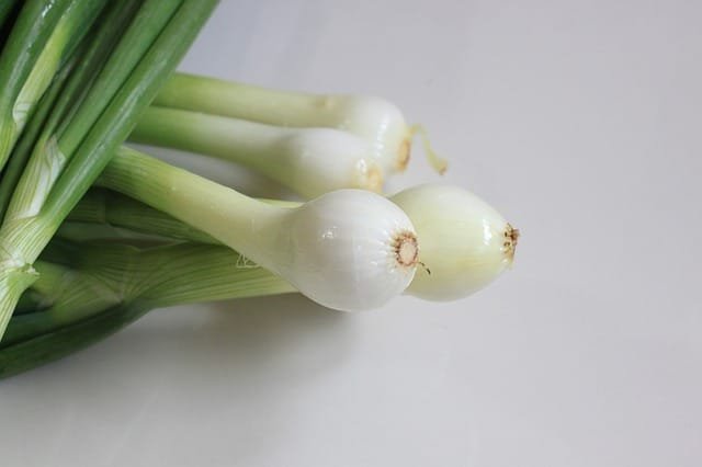 growing green onions indoors