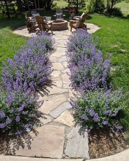 Landscaping with Lavender | 7 Garden Design Ideas
