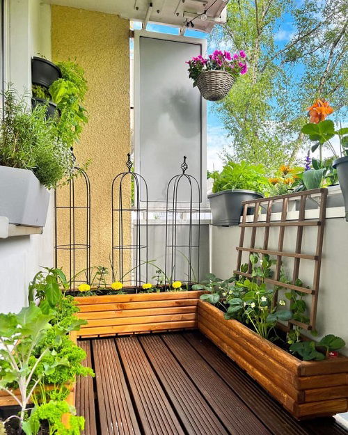 tips for balcony gardening 