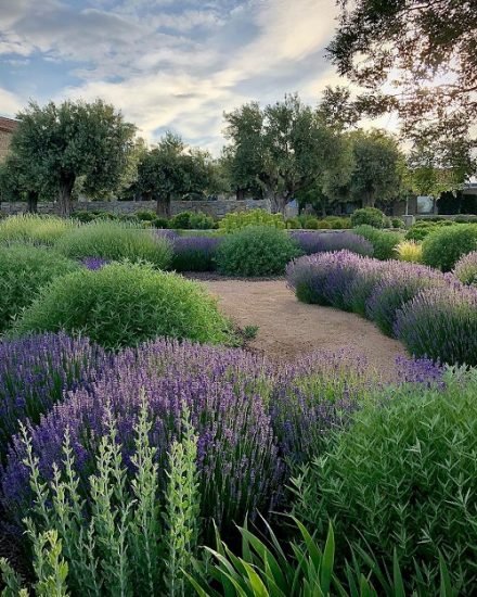 Landscaping with Lavender | 7 Garden Design Ideas – PlantandLoving