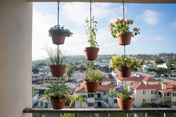 vertical garden on balcony