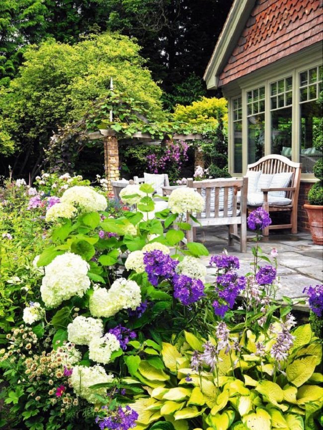 landscaping with hydrangea (1)_mini