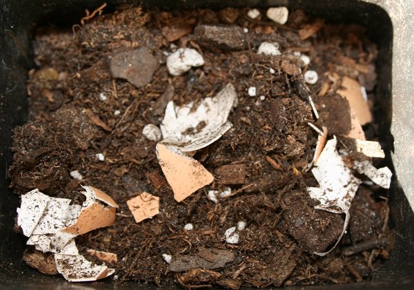 eggshell compost