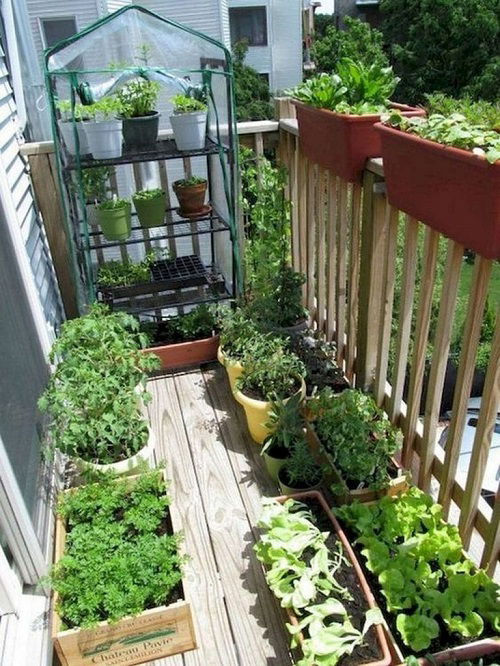 tips for balcony gardening 4