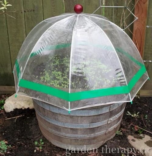 Mini Greenhouse 6
