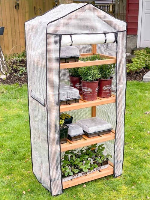 Mini Greenhouse 9