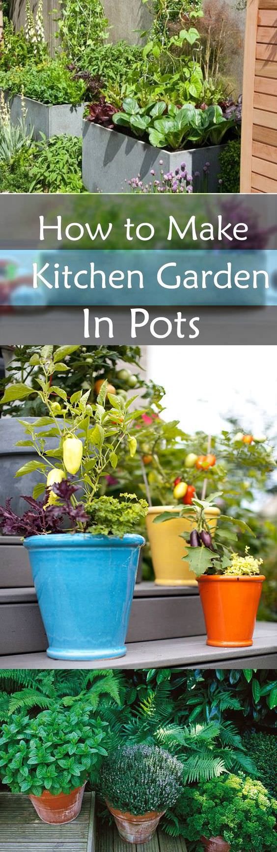 Learn how to make a kitchen garden in pots. See tips on growing fresh and organic vegetables and herbs in your container kitchen garden.