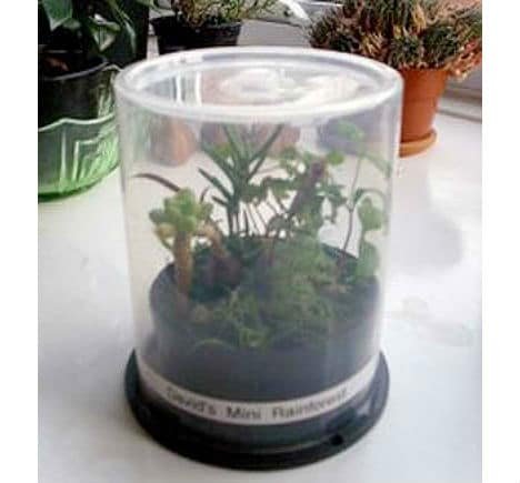 Mini Greenhouse 4