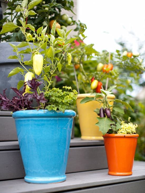 container kitchen garden vegetables