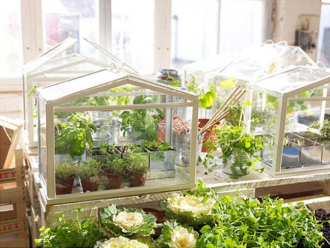 mini wooden greenhouse