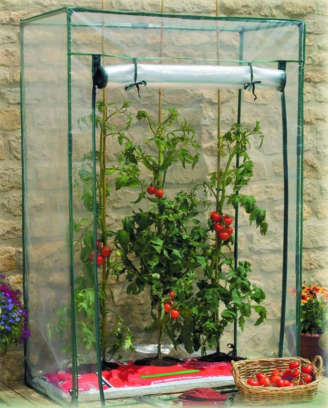 pvc greenhouse