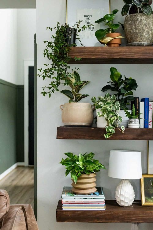 99 Great Ideas to Display Houseplants | Indoor Plants Decoration 9