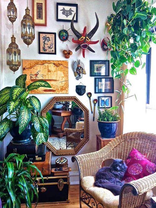 99 Great Ideas to Display Houseplants | Indoor Plants Decoration 44