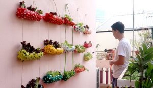 25 Plastic Bottle Vertical Garden Ideas | Soda Bottle Garden