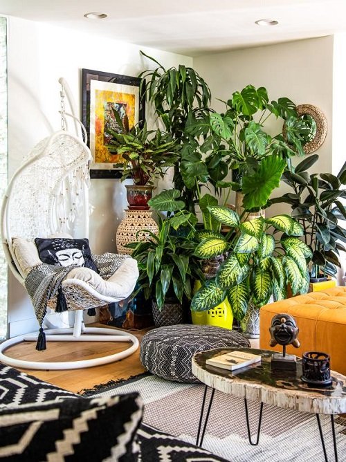 99 Great Ideas to Display Houseplants | Indoor Plants Decoration 18