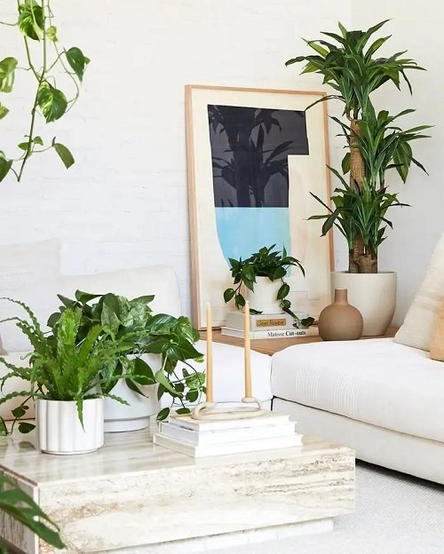 99 Great Ideas to Display Houseplants | Indoor Plants Decoration 20