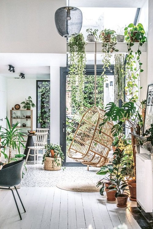 99 Great Ideas to Display Houseplants | Indoor Plants Decoration 21