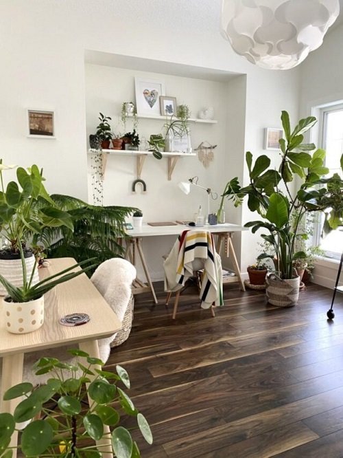 99 Great Ideas to Display Houseplants | Indoor Plants Decoration 23