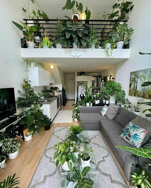 99 Great Ideas to Display Houseplants | Indoor Plants Decoration 24