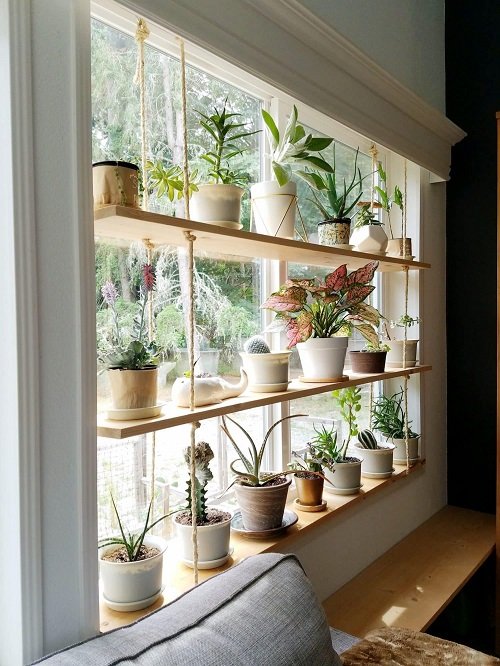 99 Great Ideas to Display Houseplants | Indoor Plants Decoration 25