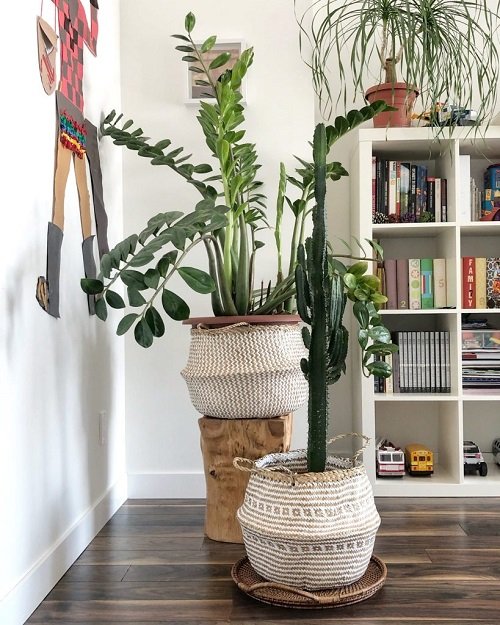 99 Great Ideas to Display Houseplants | Indoor Plants Decoration 28