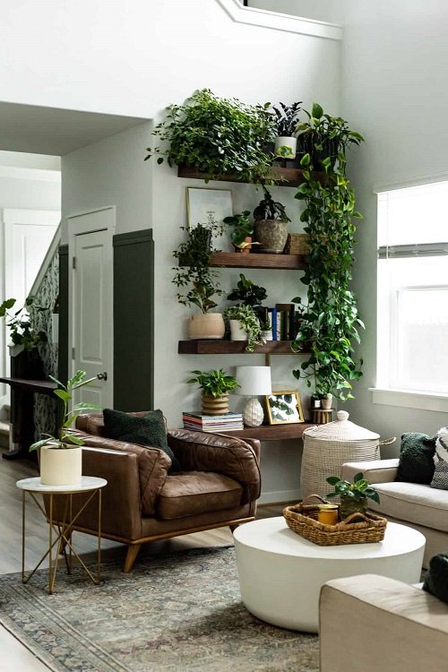 99 Great Ideas to Display Houseplants | Indoor Plants Decoration 36