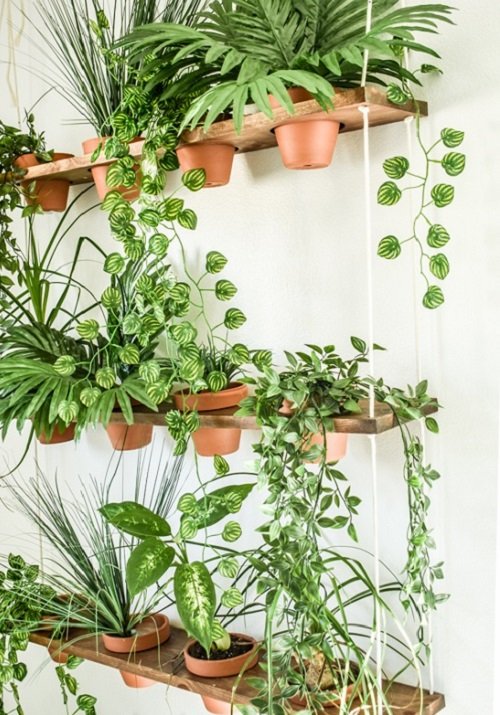 99 Great Ideas to Display Houseplants | Indoor Plants Decoration 38