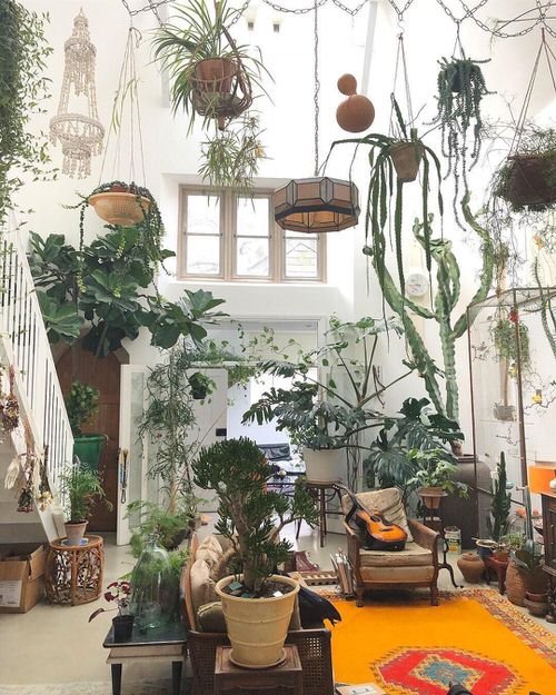 99 Great Ideas to Display Houseplants | Indoor Plants Decoration 39