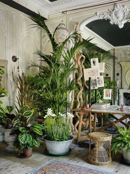 99 Great Ideas to Display Houseplants | Indoor Plants Decoration 45