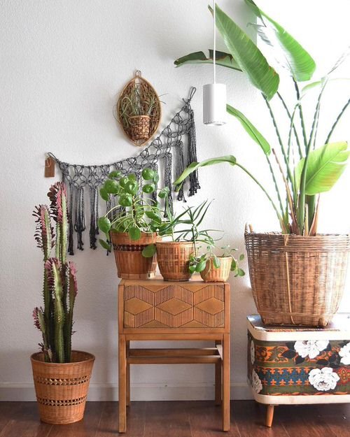 99 Great Ideas to Display Houseplants | Indoor Plants Decoration 46